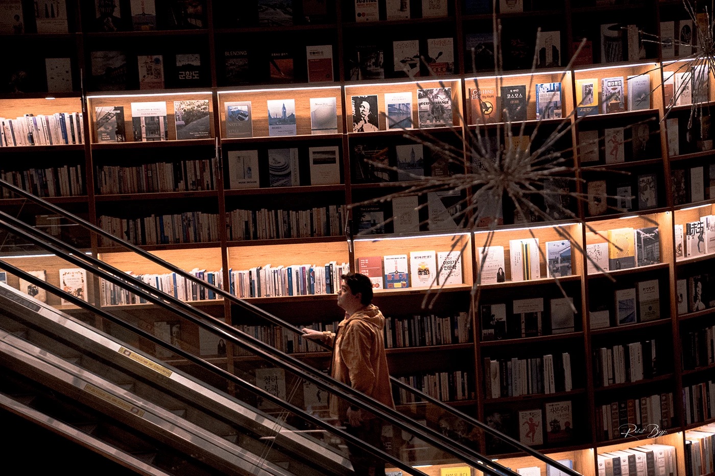 Escalator inside a floor-to-ceiling library
