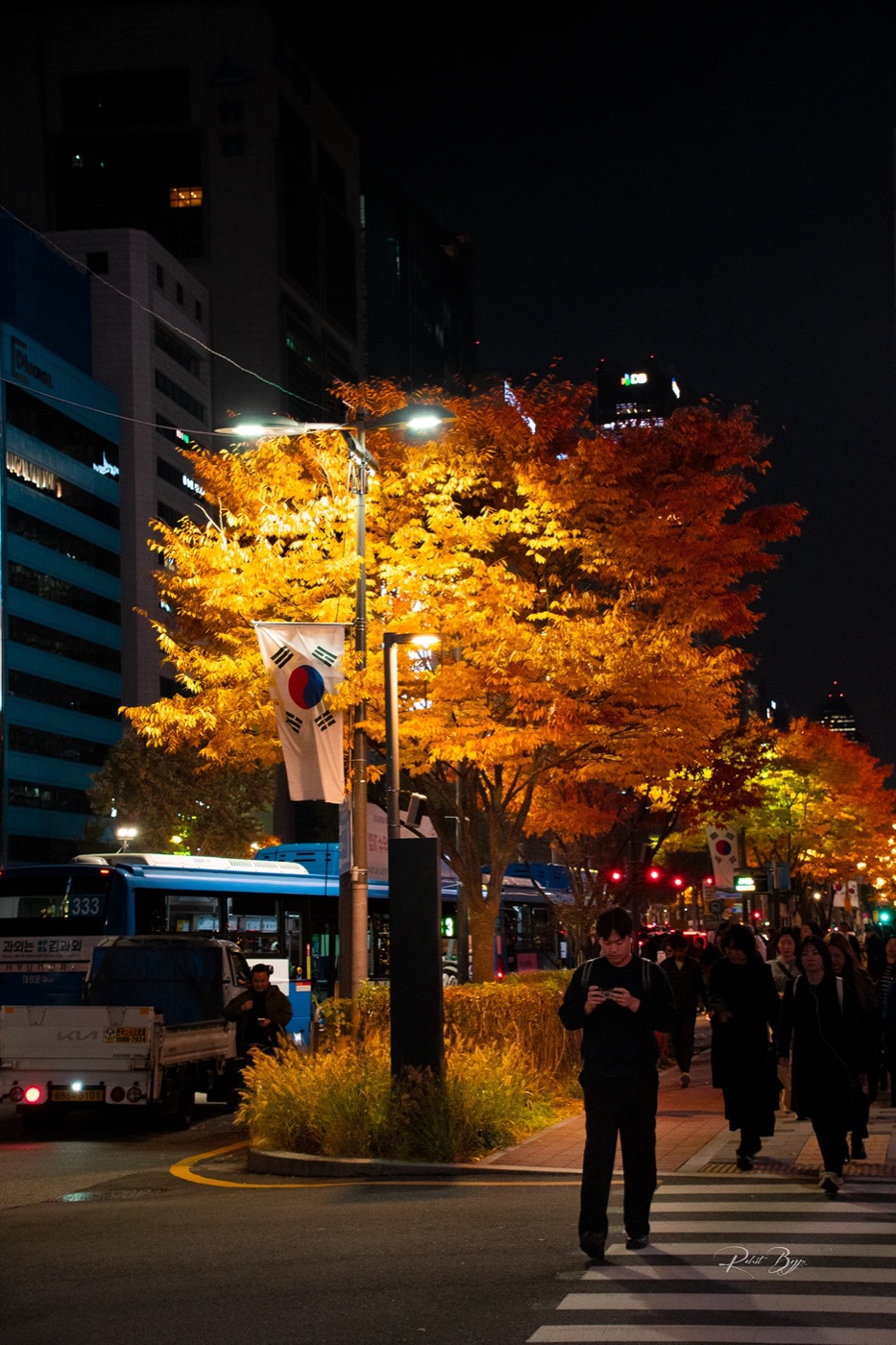 Night street with glowing autumn trees