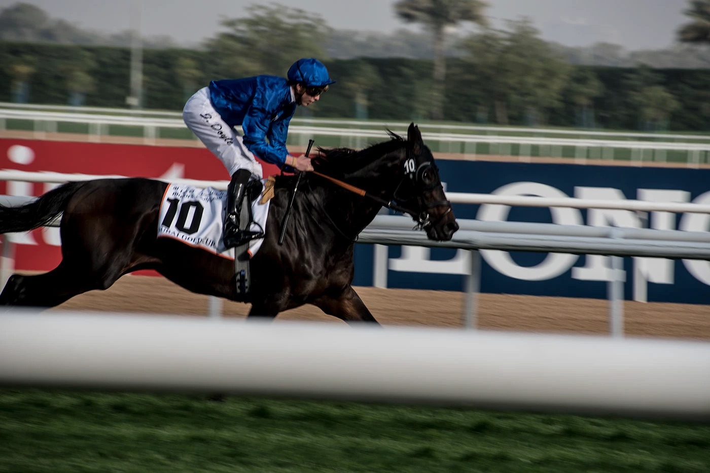 Jockey in blue mid-gallop