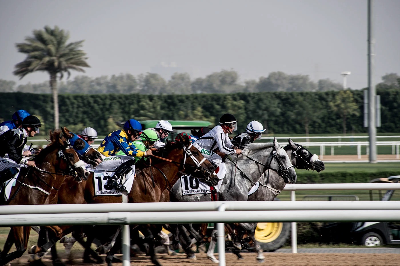 Pack of horses rounding the rail