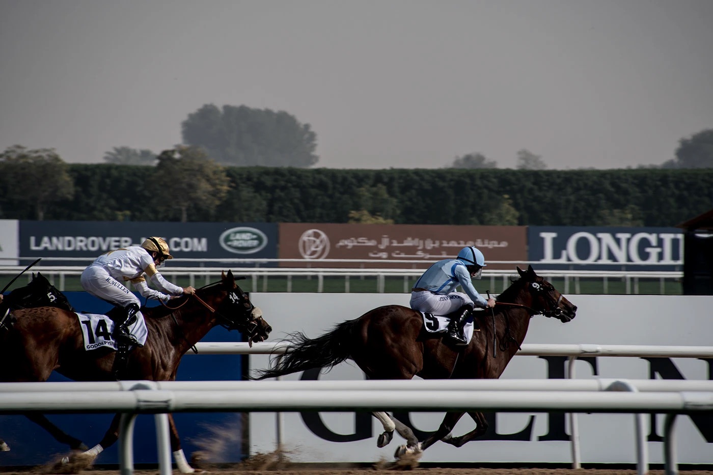 Two horses racing past sponsor boards