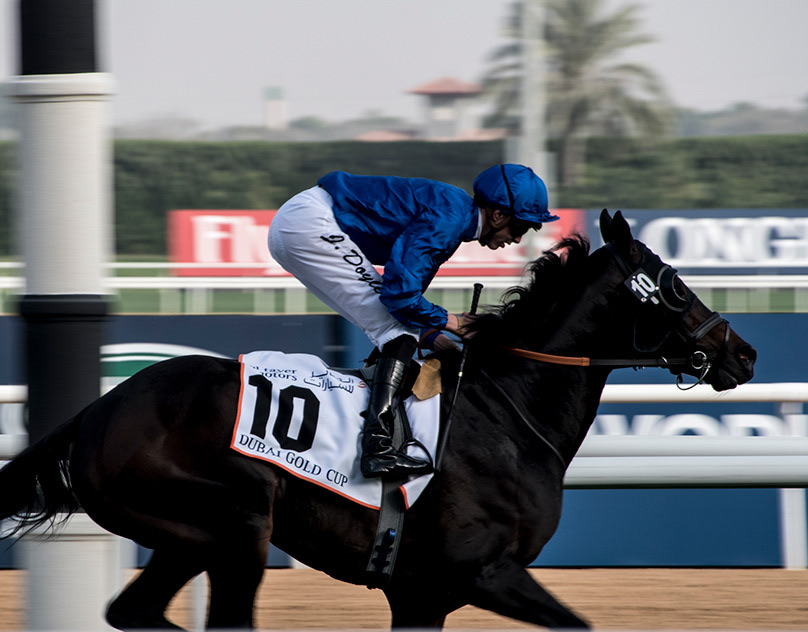 Jockey in blue racing a horse at Meydan