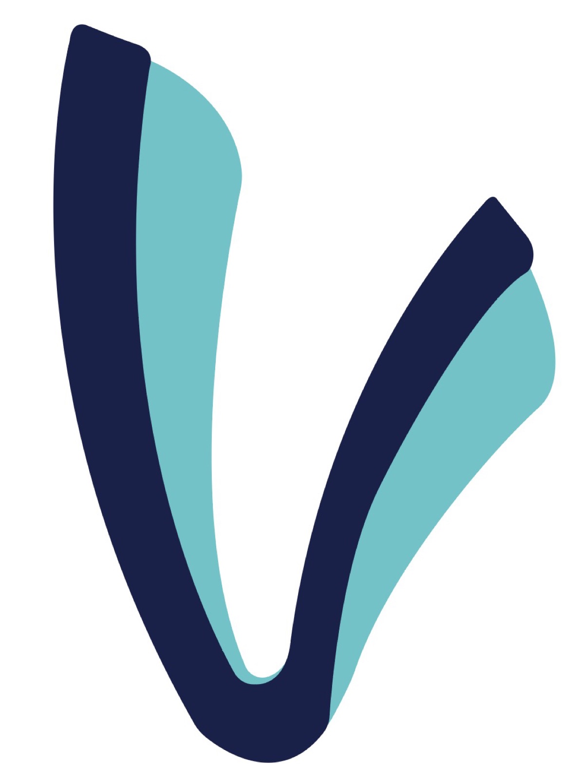 Direction C: flowing V mark in navy and teal